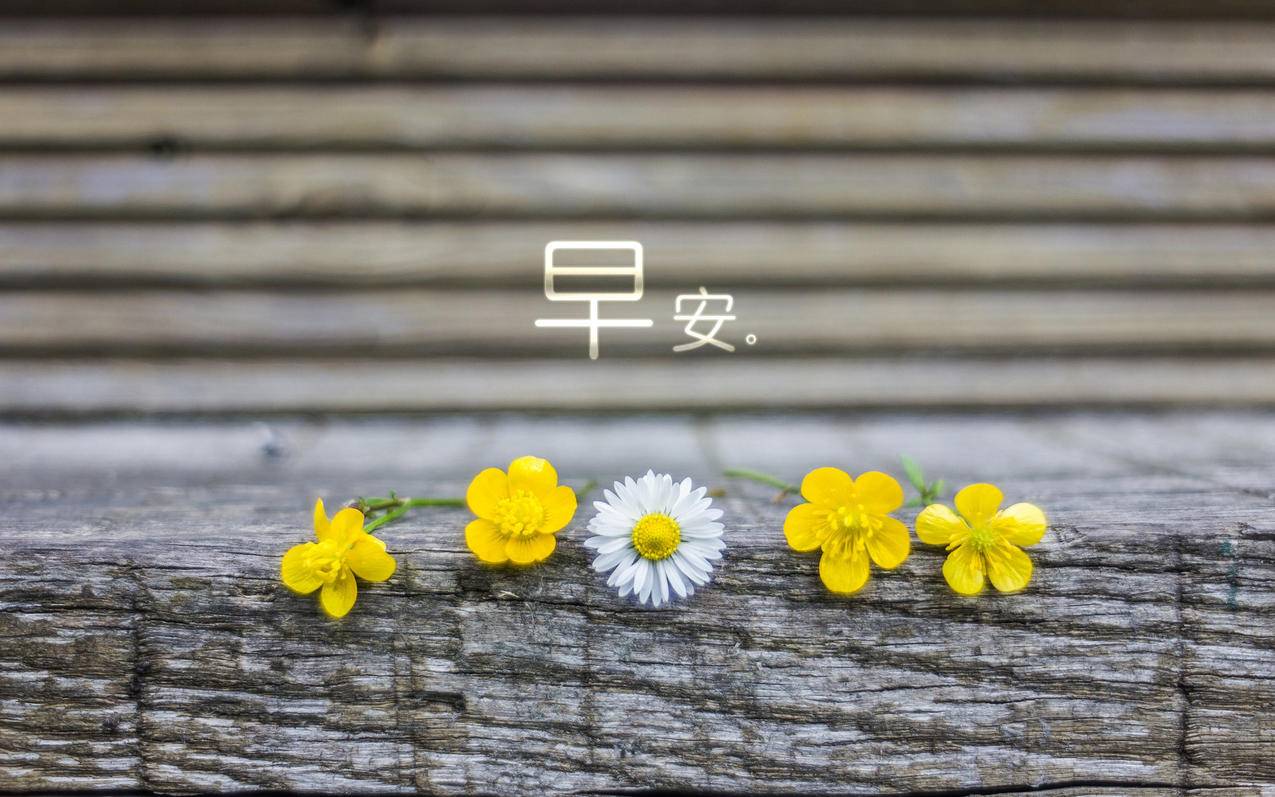 客服主管王小华